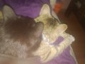 WP_20150524_003.jpg
